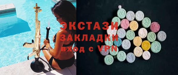 тгк Гусев