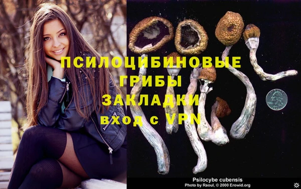 прущая мука Дмитровск