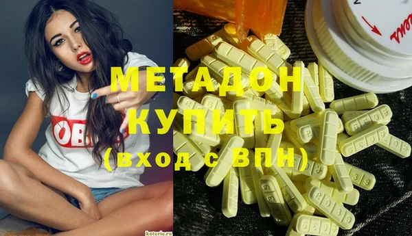 индика Гусь-Хрустальный
