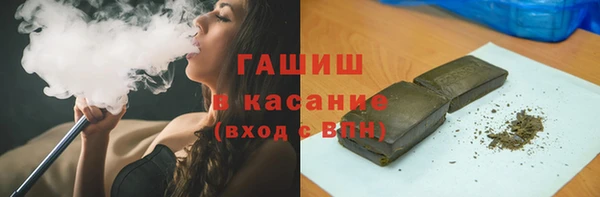 индика Гусь-Хрустальный