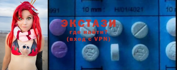 индика Гусь-Хрустальный