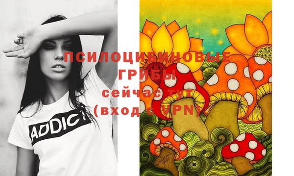 бошки Дмитров