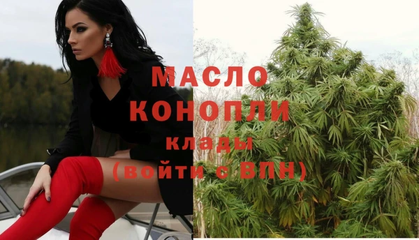 тгк Гусев