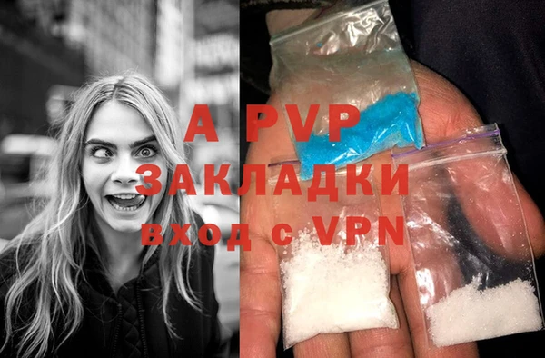 индика Гусь-Хрустальный