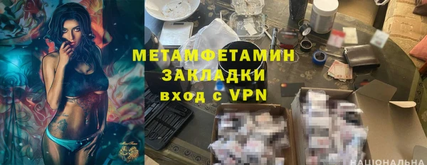 индика Гусь-Хрустальный