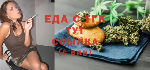 индика Гусь-Хрустальный