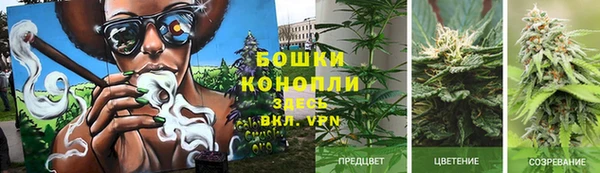 тгк Гусев
