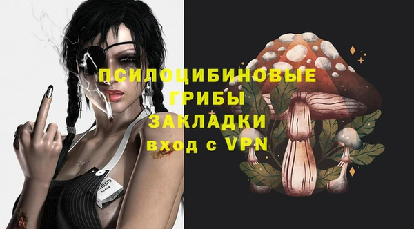 тгк Гусев