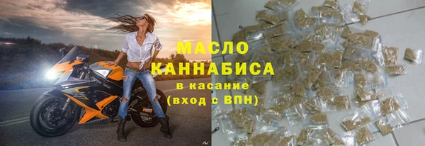 индика Гусь-Хрустальный