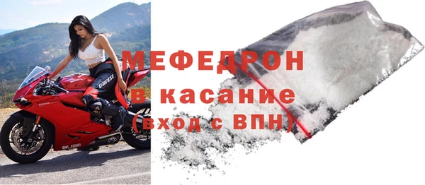 индика Гусь-Хрустальный