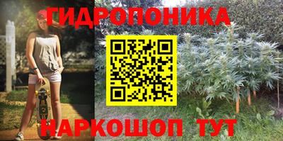 спайс Аргун