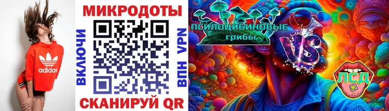 Галлюциногенные грибы прущие грибы  Бугульма 
