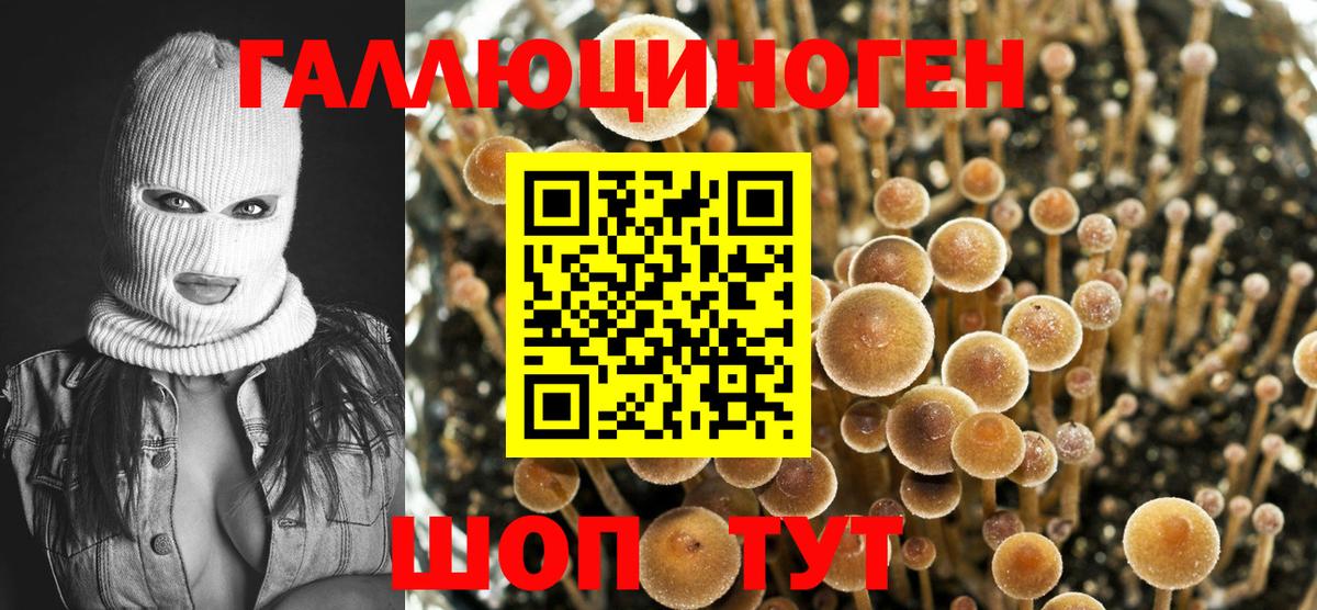 Галлюциногенные грибы Magic Shrooms Бугульма